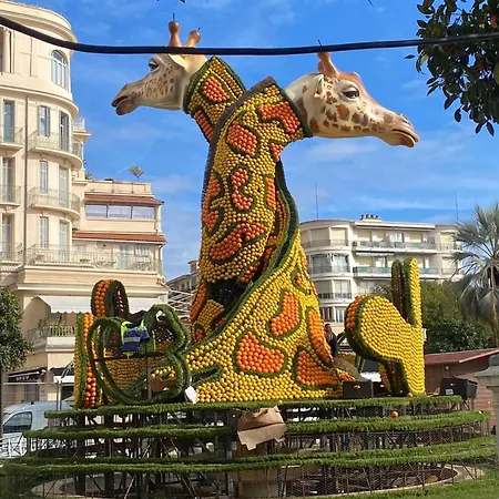 Maison Citron Мантон